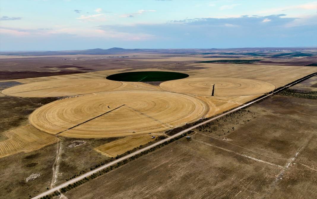 Konya’nın devasa tarlaları kuraklığa avantaj sağladı! Verim şaşırttı 5